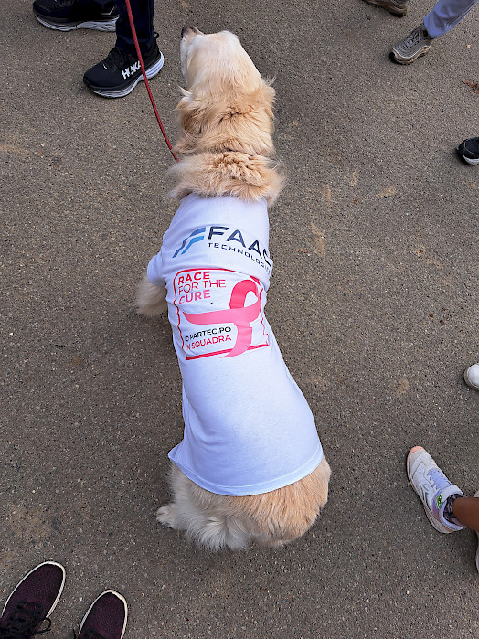 Perro especial que viste la camiseta de Race for the Cure FAAC Family