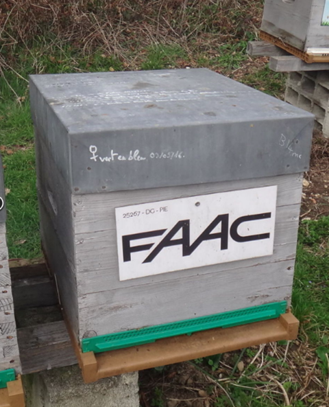 FAAC apiary